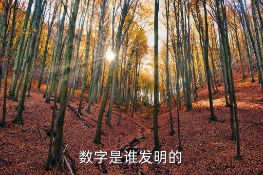 數(shù)字是誰發(fā)明的