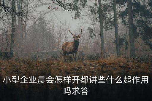 小型企業晨會怎樣開都講些什么起作用嗎求答