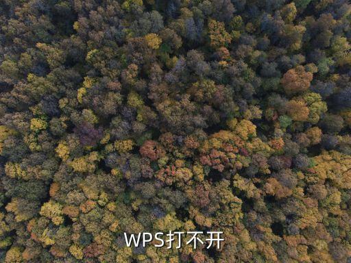 wps打不開，WPS打不開