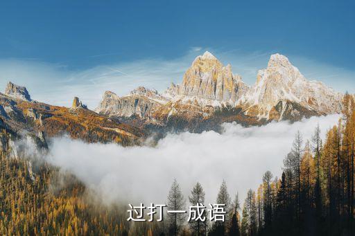 過的成語，形容做事情或者說話過了的成語有哪些