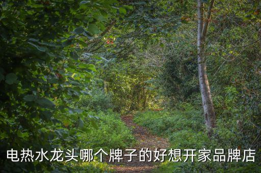 電熱水龍頭品牌，什么牌子的電熱水龍頭好