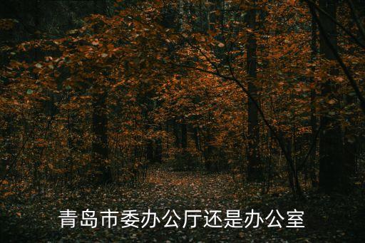 青島市委辦公廳還是辦公室