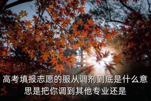 服從調劑是什么意思，什么是服從調劑