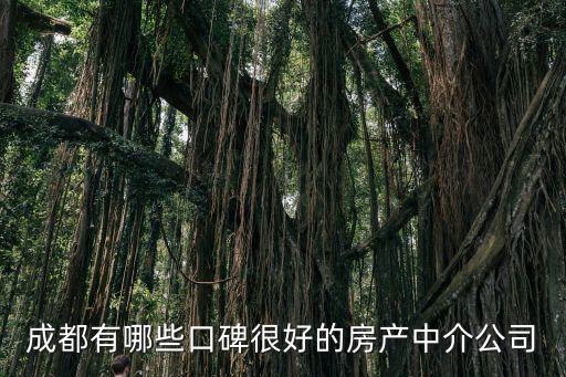 成都有哪些口碑很好的房產中介公司