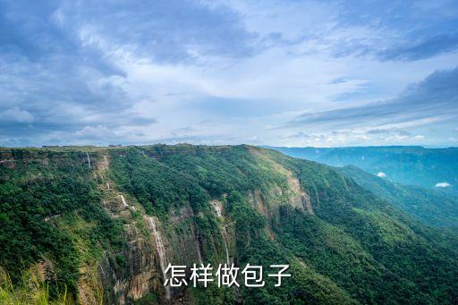 怎樣做包子
