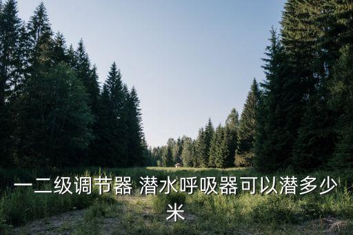 一二級(jí)調(diào)節(jié)器 潛水呼吸器可以潛多少米