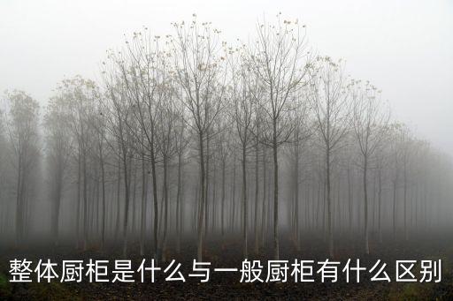 廚房整體廚柜，什么是整體廚柜整體廚柜哪個品牌好