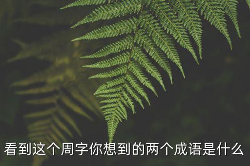 周字開頭的成語，看到這個周字你想到的兩個成語是什么