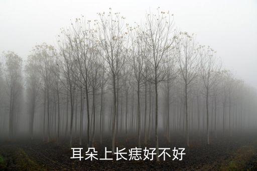 耳朵上長痣，耳朵上長痣好不好