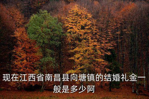 現在江西省南昌縣向塘鎮的結婚禮金一般是多少阿