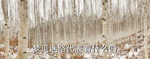 做夢迷路，夢見迷路代表著什么嗎