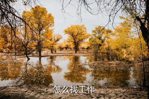 工作求職，怎么找工作