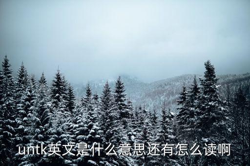 untk英文是什么意思還有怎么讀啊