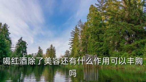 紅酒豐胸，紅酒可以豐胸嗎