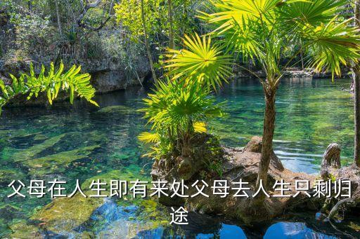家的歸途，家是心靈的歸宿 如何翻譯