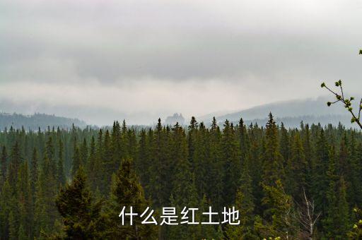 什么是紅土地