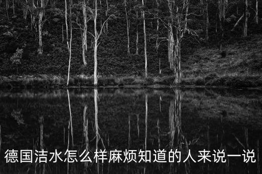德國潔水怎么樣麻煩知道的人來說一說