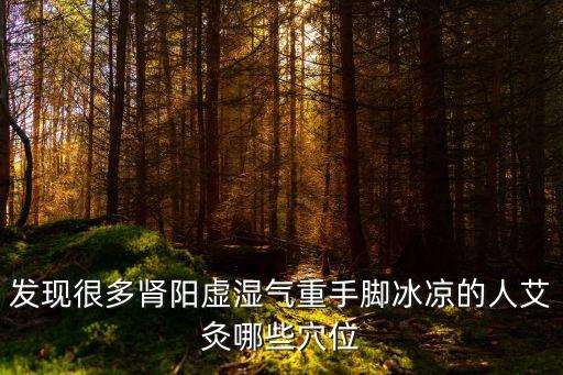 女人濕氣重艾灸圖，濕氣很重用艾灸盒應該灸身體哪個穴位