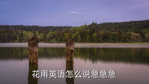 花用英語怎么說急急急