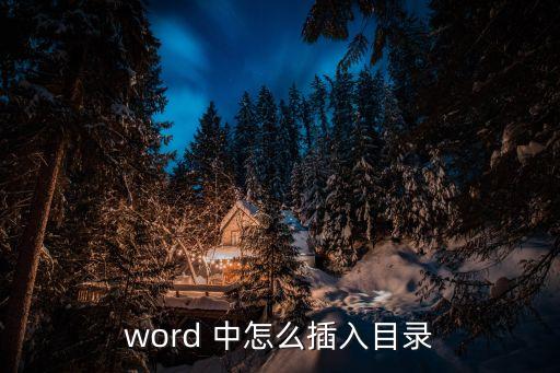 怎么插入目錄，word 中怎么插入目錄