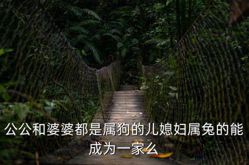 狗和兔合不合，都說狗咬兔子兩屬相能結婚嗎