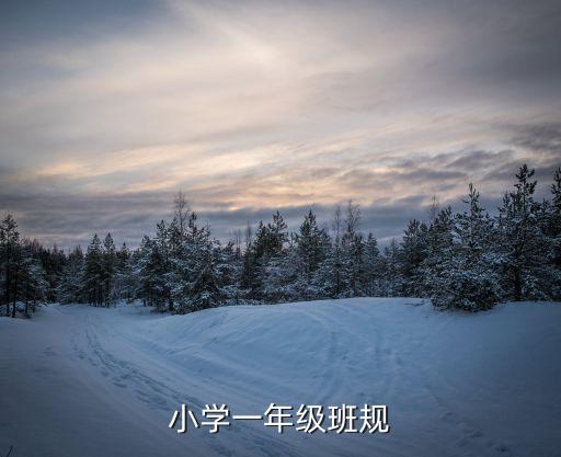 一年級班級公約，誰能幫我寫一份班級公約啊急在線等  搜