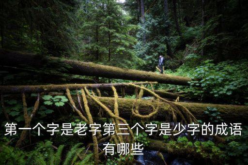 瑤花琪樹，第一個字是老字第三個字是少字的成語有哪些