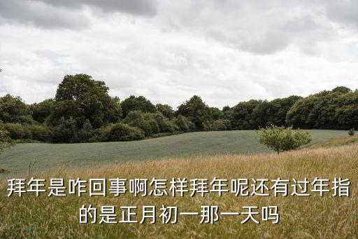 拜年是咋回事啊怎樣拜年呢還有過年指的是正月初一那一天嗎