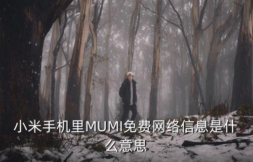 mumi，MIUI系統怎么樣 MIUI系統功能介紹