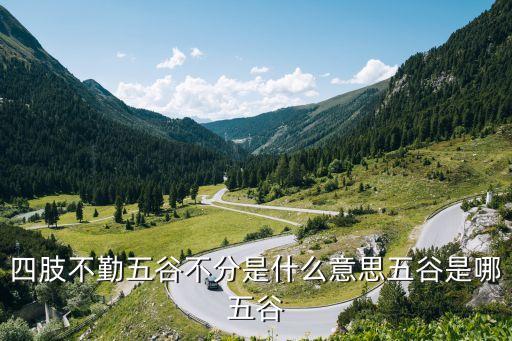 四體不勤五谷不分的意思，四體不勤五谷不分的意思