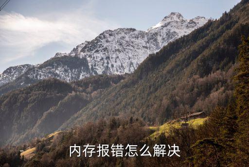 內存故障，內存錯誤怎么辦