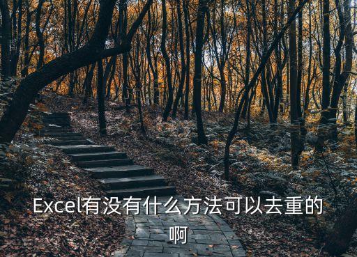 Excel有沒有什么方法可以去重的啊