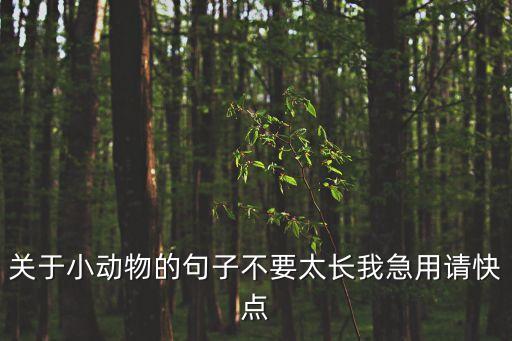 關于小動物的句子不要太長我急用請快點