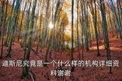 迪士尼介紹，關于迪士尼樂園
