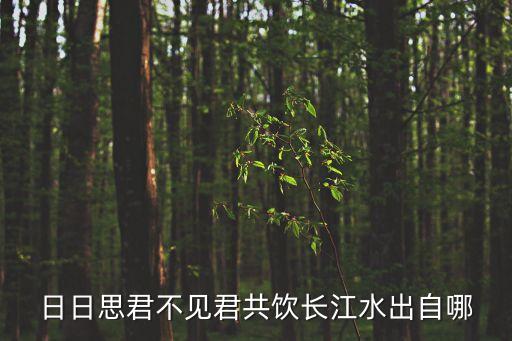 共飲長(zhǎng)江水，日日思君不見(jiàn)君共飲長(zhǎng)江水出自哪