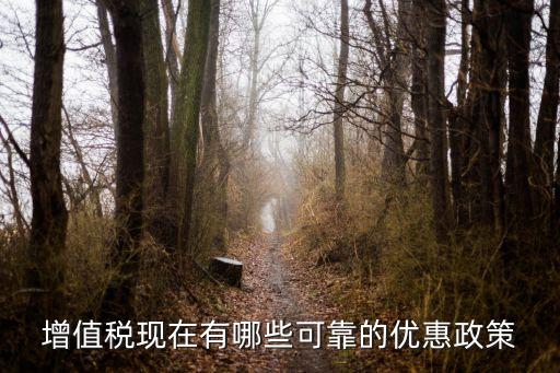 增值稅政策，增值稅現在有哪些可靠的優惠政策