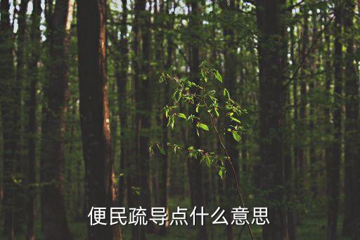 便民疏導點什么意思