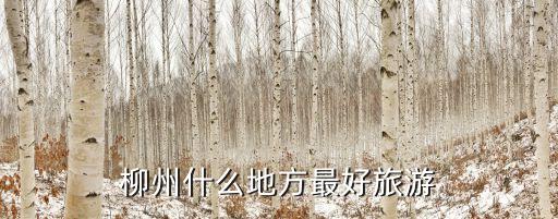 柳州什么地方最好旅游