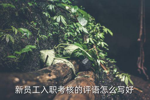 員工考核評價，員工績效評價的內容