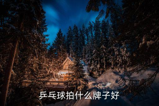 乒乓球拍什么牌子好，哪個品牌的乒乓球拍好