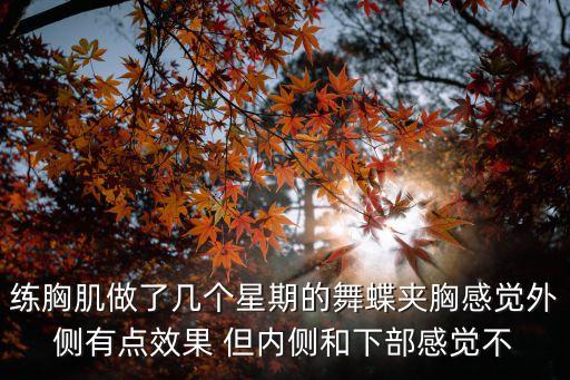 練胸肌做了幾個星期的舞蝶夾胸感覺外側有點效果 但內側和下部感覺不