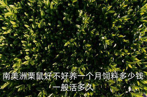 南美洲栗鼠，南美洲栗鼠好不好養(yǎng)一個(gè)月飼料多少錢(qián)一般活多久