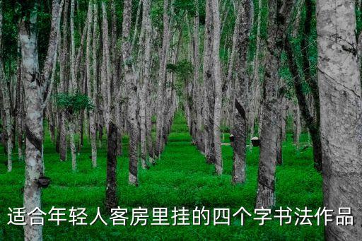 適合年輕人客房里掛的四個字書法作品