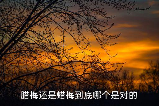 臘梅還是蠟梅到底哪個(gè)是對(duì)的
