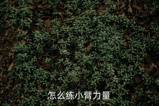 鍛煉小臂，小臂怎樣鍛煉為好