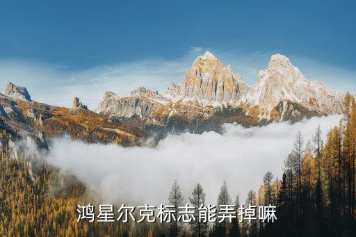 鴻星爾克標(biāo)志，e是鴻星爾克的標(biāo)志么