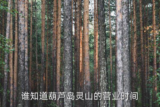 葫蘆島靈山，靈山是個什么樣的地方