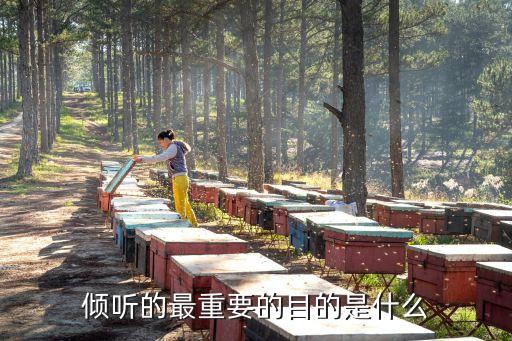 傾聽的力量，如何提高傾聽能力