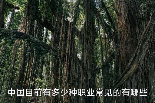 中國目前有多少種職業(yè)常見的有哪些