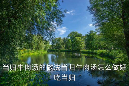 當(dāng)歸牛肉湯的做法當(dāng)歸牛肉湯怎么做好吃當(dāng)歸